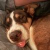 rtw9784